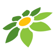 KOKO888